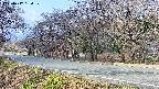 takano5-20250417084110.jpg