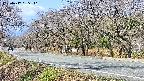 takano5-20250417085111.jpg