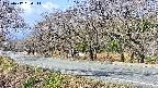 takano5-20250417090113.jpg