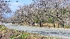 takano5-20250417091112.jpg