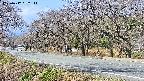 takano5-20250417092112.jpg
