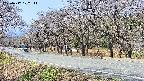 takano5-20250417102112.jpg