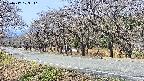 takano5-20250417103112.jpg