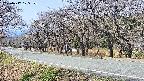 takano5-20250417105111.jpg