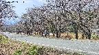 takano5-20250417111113.jpg