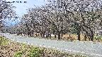 takano5-20250417113112.jpg