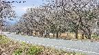 takano5-20250417124112.jpg