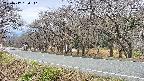 takano5-20250417130112.jpg