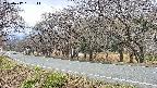 takano5-20250417131113.jpg