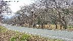 takano5-20250417132111.jpg