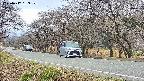 takano5-20250417133110.jpg