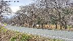 takano5-20250417134112.jpg