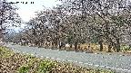 takano5-20250417140112.jpg