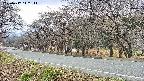 takano5-20250417142112.jpg