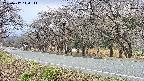 takano5-20250417144112.jpg