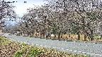 takano5-20250417151113.jpg