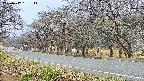 takano5-20250417161113.jpg