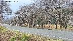 takano5-20250417163110.jpg
