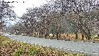 takano5-20250417171114.jpg