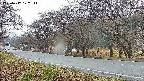 takano5-20250417172112.jpg