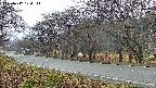 takano5-20250417174112.jpg