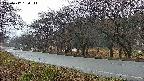 takano5-20250417180112.jpg