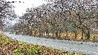 takano5-20250418053111.jpg