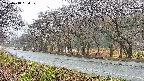 takano5-20250418054110.jpg
