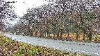 takano5-20250418061111.jpg