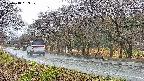 takano5-20250418063109.jpg