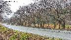 takano5-20250418064109.jpg