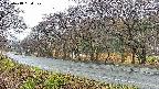 takano5-20250418084109.jpg