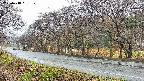 takano5-20250418091111.jpg