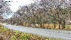 takano5-20250418101110.jpg
