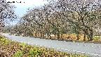 takano5-20250418104111.jpg