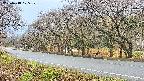 takano5-20250418105110.jpg