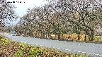 takano5-20250418110111.jpg