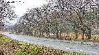 takano5-20250418132110.jpg