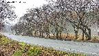 takano5-20250418134110.jpg