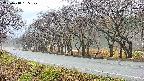 takano5-20250418135110.jpg