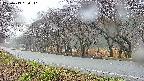 takano5-20250419060111.jpg