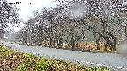 takano5-20250419061109.jpg