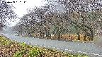 takano5-20250419062111.jpg