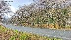 takano5-20250419071111.jpg