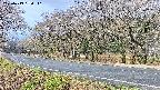takano5-20250419080111.jpg