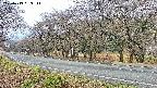 takano5-20250419083112.jpg