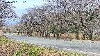 takano5-20250419091111.jpg
