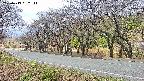 takano5-20250419092112.jpg