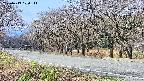 takano5-20250419100112.jpg