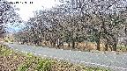 takano5-20250419103112.jpg